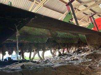 Fraise butteuse Baselier Fraise Baselier 