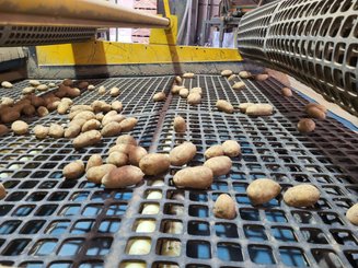 Calibreur - pommes de terre Auger Calibreur 2400 mm