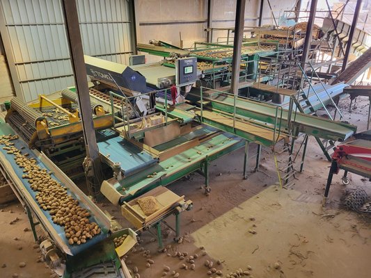 Déterreur - pommes de terre Dewaele-Briche Combi double rouleaux