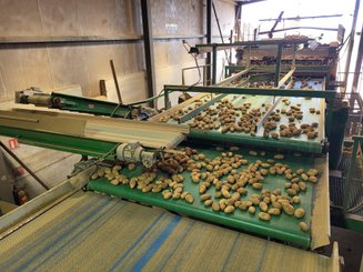 Déterreur - pommes de terre Dewaele-Briche Combi double rouleaux