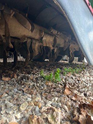 Broyeur de fanes Baselier Broyeur Baselier 