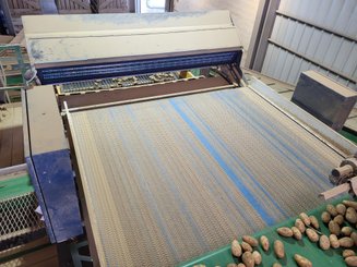 Triage et stockage des pommes de terre EuroDirect Trieur optique TOMRA 3A