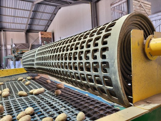 Calibreur - pommes de terre Auger Calibreur 2400 mm