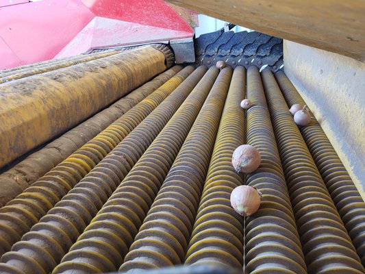 Déterreur - pommes de terre Grimme Déterreur GRIMME RH2460