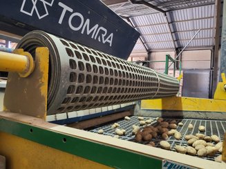 Calibreur - pommes de terre Auger Calibreur 2400 mm