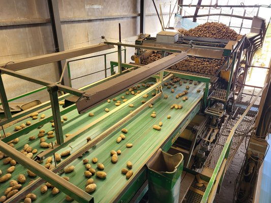 Déterreur - pommes de terre Dewaele-Briche Combi double rouleaux